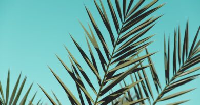 The Best Fabrics for Every Climate