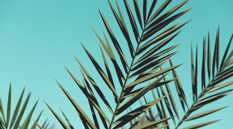 The Best Fabrics for Every Climate